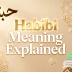 habibi meaning