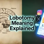 Lobotomy Meaning: Definition, History, Usage and Modern Context In 2026