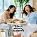 Platonic Meaning