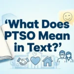 what does ptso mean in text