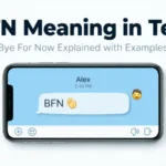 BFN Meaning in Text