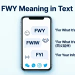 fwy meaning in text