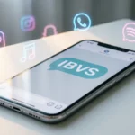 ibvs meaning in text