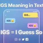 IGS Meaning in Text