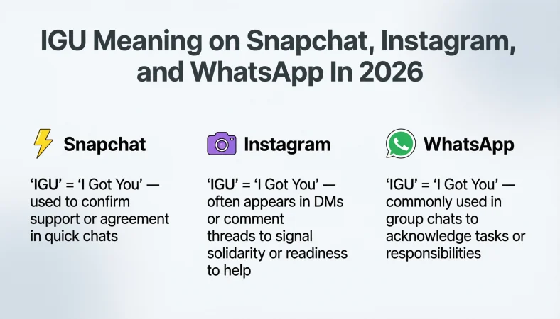 IGU Meaning in Text
