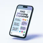 IMO Meaning