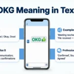 OKG Meaning in Text