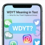 WDYT Meaning in Text