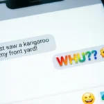 WHU Meaning in Text
