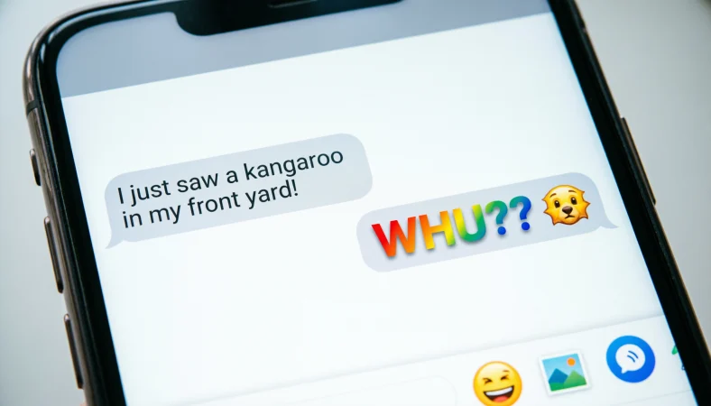 WHU Meaning in Text