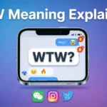 WTW Meaning