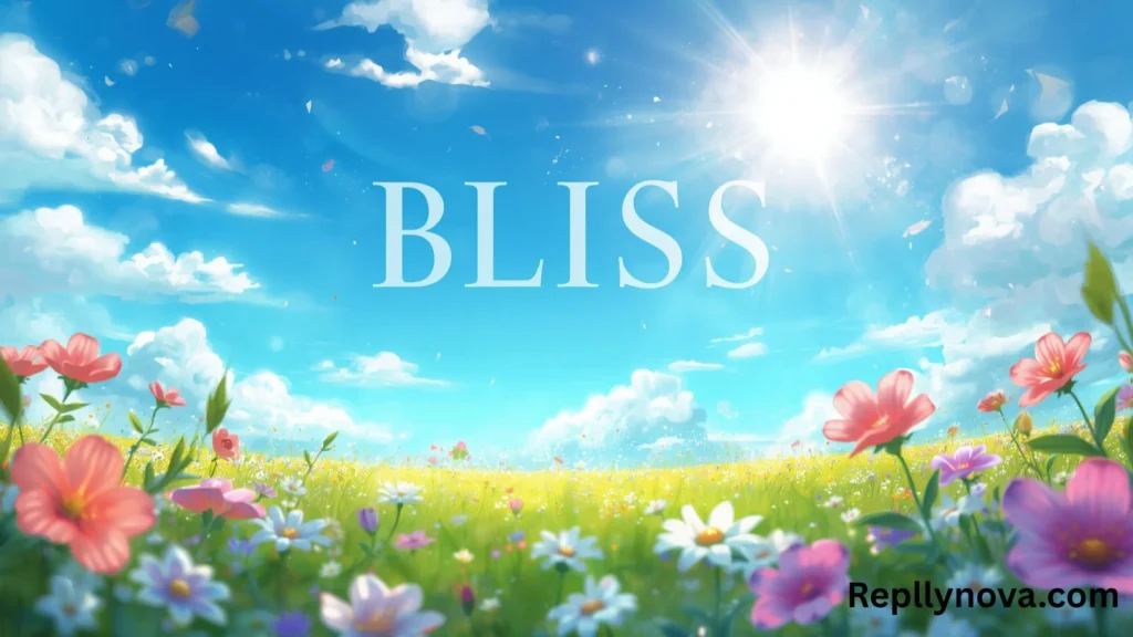 bliss meaning