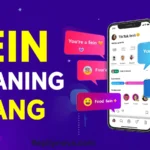 Fein Meaning Slang