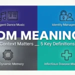 idm meaning