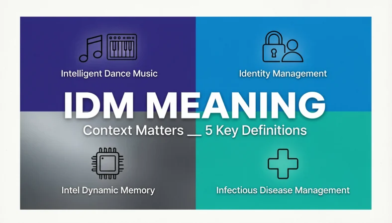 idm meaning