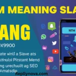 ntm meaning slang