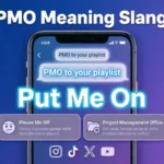PMO Meaning Slang