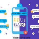POS Meaning Slang