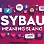 SYBAU Meaning Slang