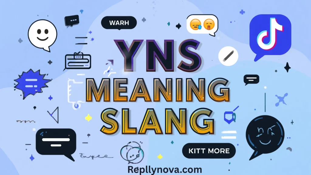 YNS Meaning Slang