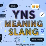 YNS Meaning Slang